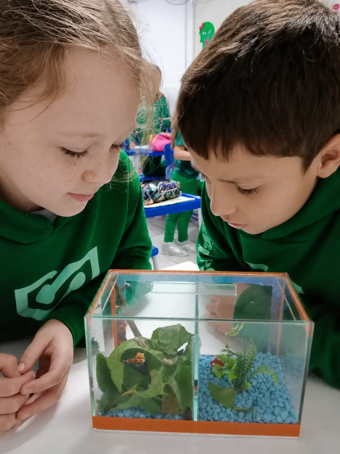 Alunos do Ensino Fundamental I observando um terrário